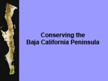 Conserving the Peninsula