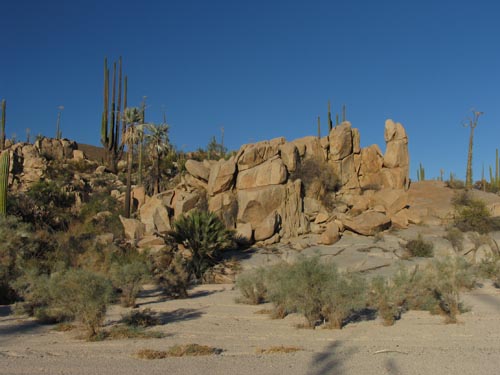 Desert near Cataviña