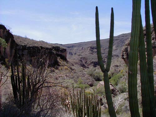 San Borjitas vista