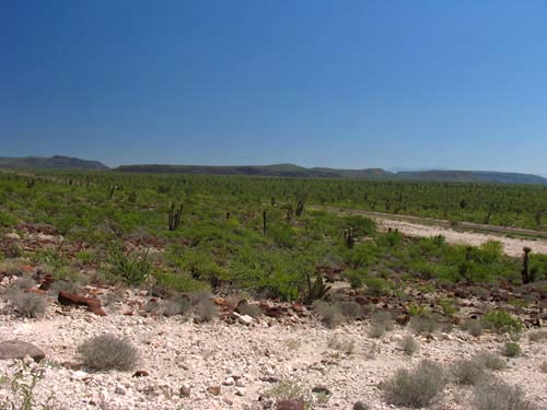 Desert near Abulon microwave station