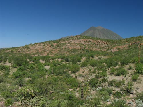 Desert south of Tres Virgenes area