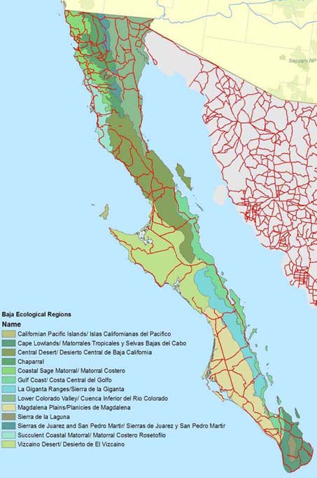 Map of Ecoregions of Baja California Peninsula courtesy of San Diego Natural History Museum