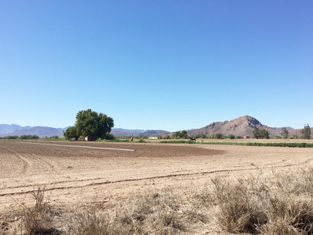 Uncos campos nuevamente arasado en el valle de Mulegé