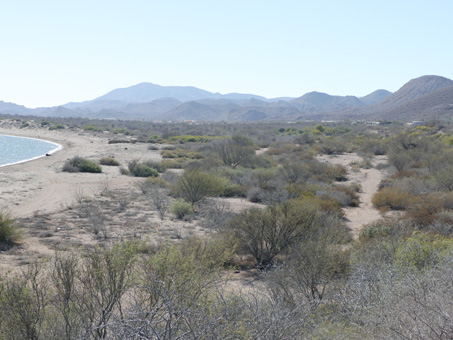 La vista hacia las dunas de El Gallito