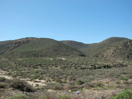 hillsides near El Rosario, BC