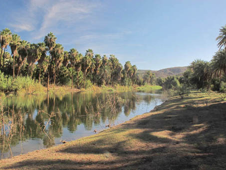 Mulege River