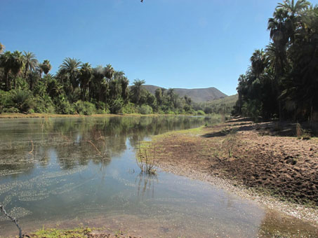 Mulege River