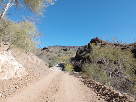 Road west of Rancho Ingerto