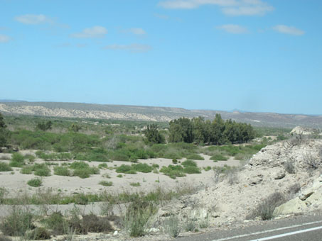 View of Estero San Gregoria