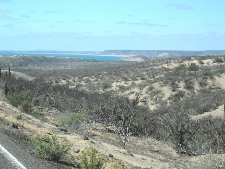Vista de Bahia San Juanico
