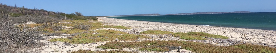 Playa Santa Inés