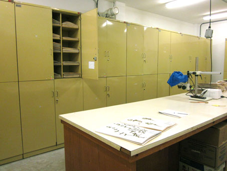 Herbarium cabinets