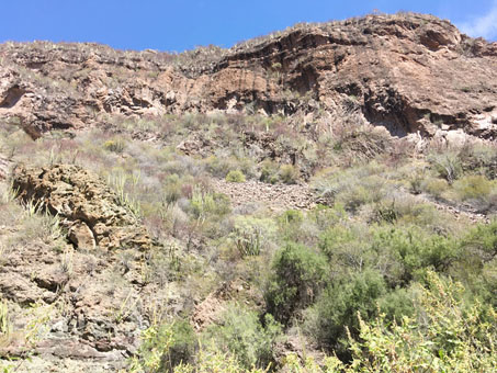 Steep cliff of arroyo