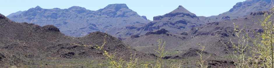 View of Arroyo Guadalupe near Mulegé