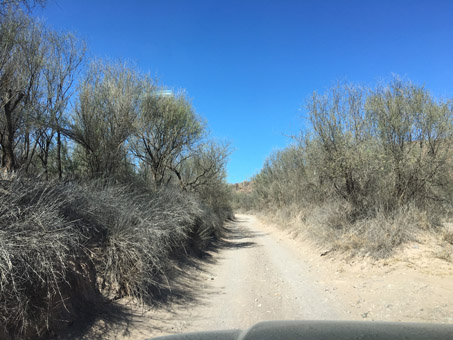 Dry desert scrub along road