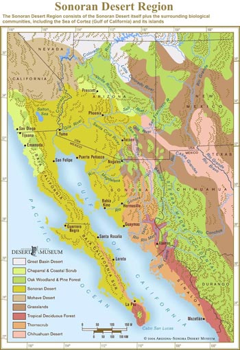 Sonoran Desert map