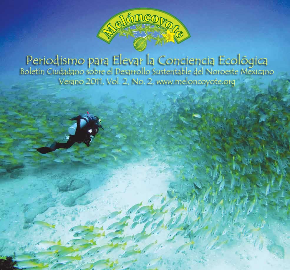 portada: Arrecife de Cabo Pulmo