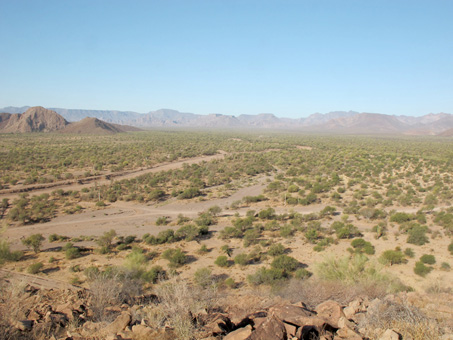 Mulege valley