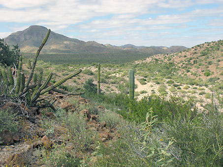 Punta Suenos area