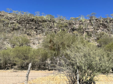 cliff near Rancho El Rincon