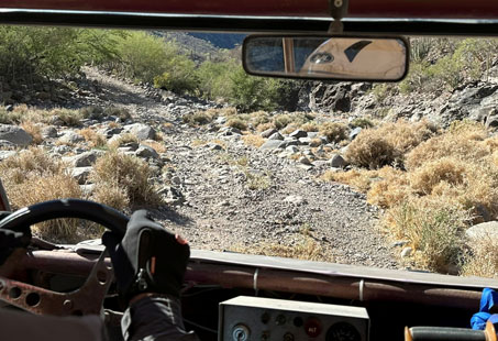 rocky arroyo with dry vegetation