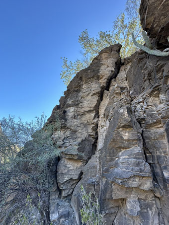 Cliff of slate-like rock