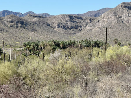 Vista del valle desde la ladera sobre Arroyo San Jose de Magdalena