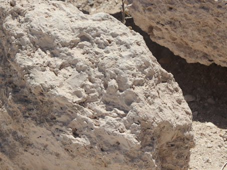 Punta Cacarizo